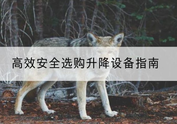 金东升降货梯厂家推荐-*安全选购升降设备指南