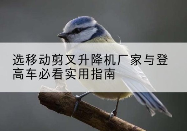 金东电动升降机厂家-选移动剪叉升降机厂家与登高车必看实用指南