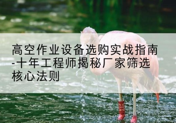 金东剪叉式升降机厂家-高空作业设备选购实战指南-十年工程师揭秘厂家筛选核心法则
